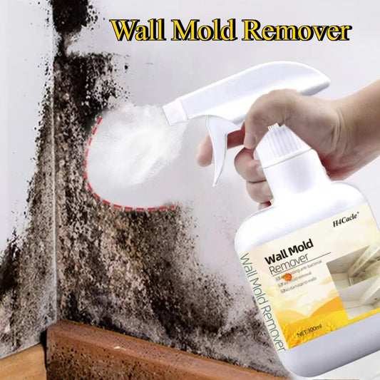 Mold & Mildew Remover Spray