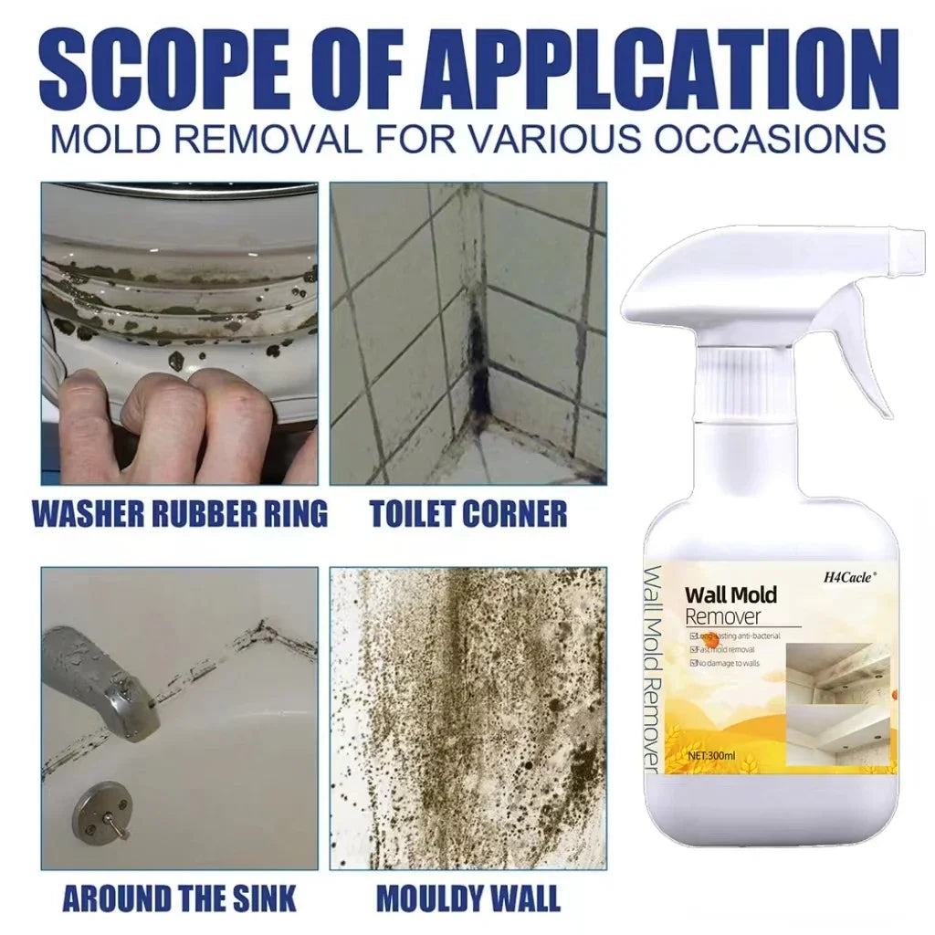 Mold & Mildew Remover Spray