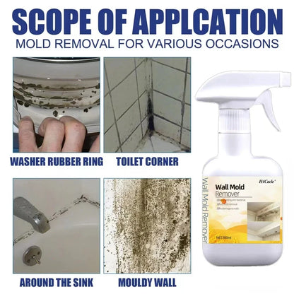 Mold & Mildew Remover Spray