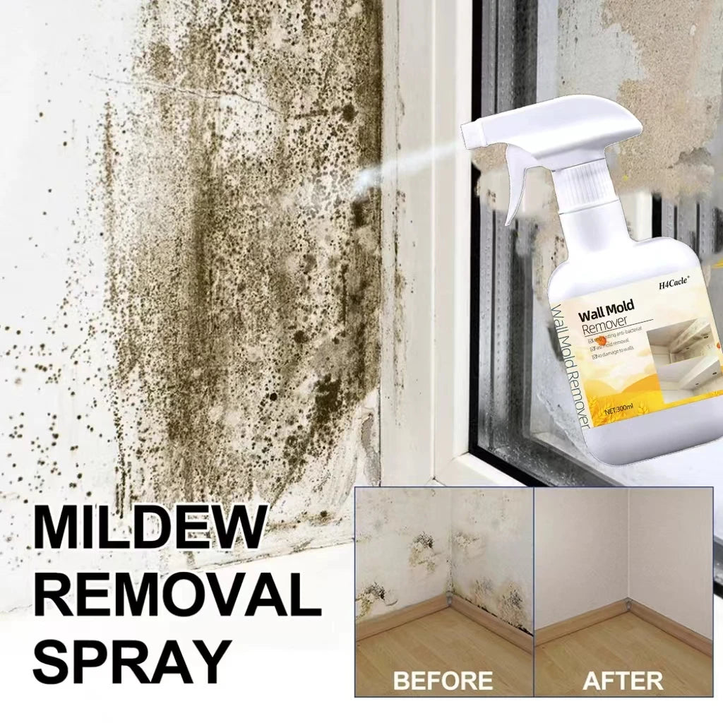 Mold & Mildew Remover Spray