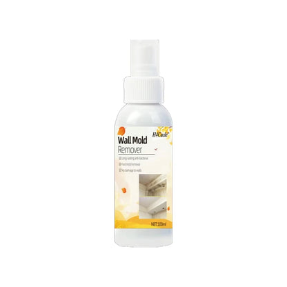 Mold & Mildew Remover Spray