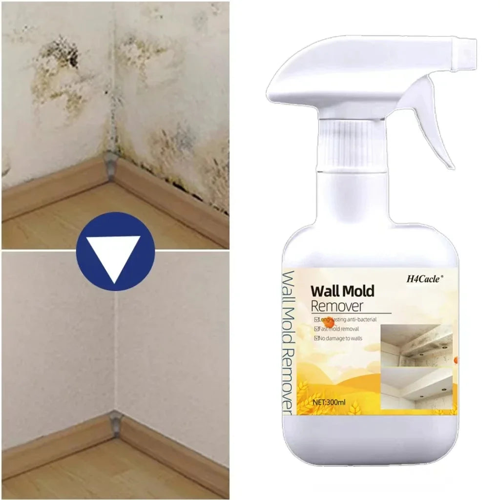 Mold & Mildew Remover Spray