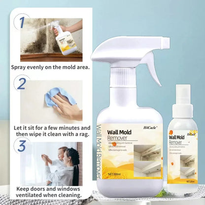Mold & Mildew Remover Spray