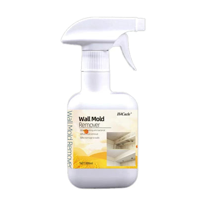 Mold & Mildew Remover Spray