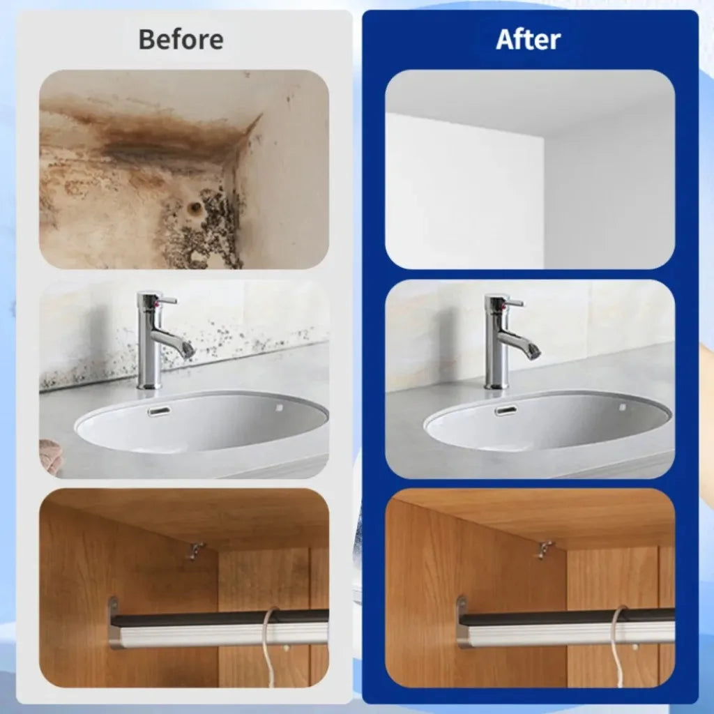 Mold & Mildew Remover Spray